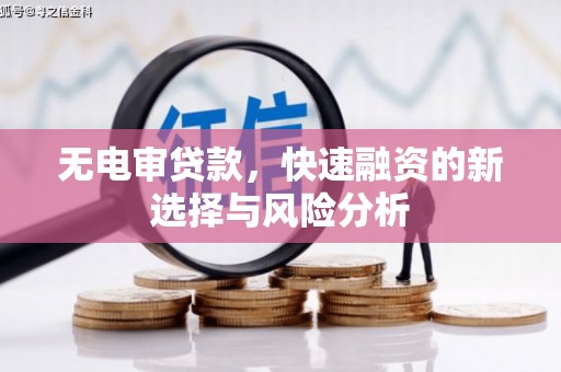 邵阳县无电审贷款，快速融资的新选择与风险分析