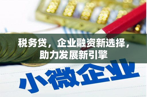 新源税务贷，企业融资新选择，助力发展新引擎