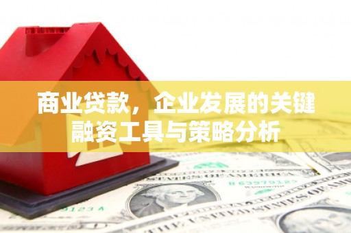 米林商业贷款，企业发展的关键融资工具与策略分析