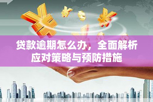 石排贷款逾期怎么办，全面解析应对策略与预防措施