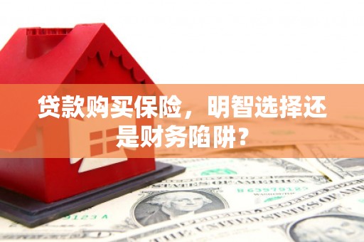 友谊贷款购买保险，明智选择还是财务陷阱？