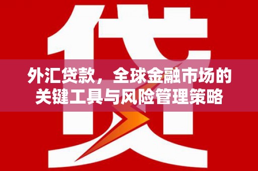 新蔡外汇贷款，全球金融市场的关键工具与风险管理策略