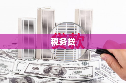 洪洞税务贷