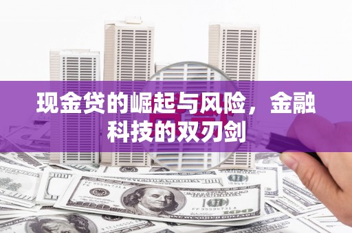 岭东现金贷的崛起与风险，金融科技的双刃剑