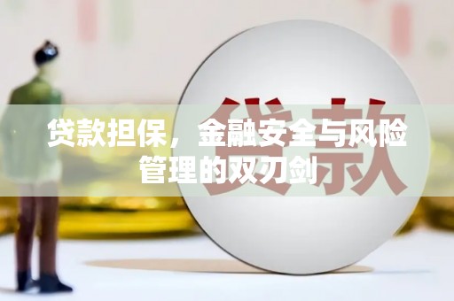 正镶白旗贷款担保，金融安全与风险管理的双刃剑