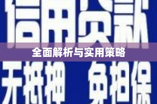 荔城全面解析与实用策略