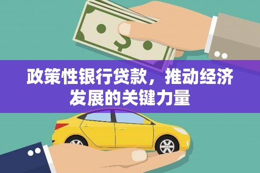 雅安政策性银行贷款，推动经济发展的关键力量