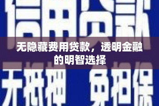 大武无隐藏费用贷款，透明金融的明智选择