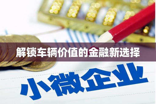 娄星解锁车辆价值的金融新选择