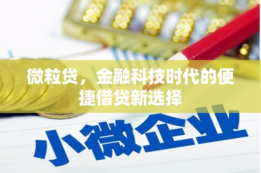 安国微粒贷，金融科技时代的便捷借贷新选择