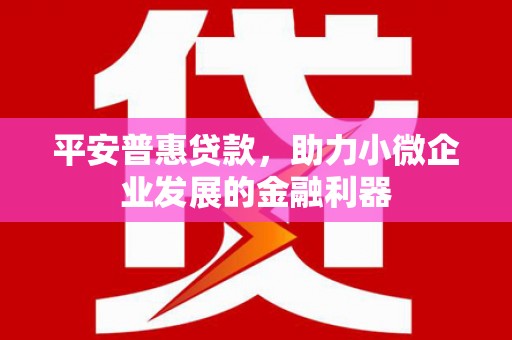 永和平安普惠贷款，助力小微企业发展的金融利器