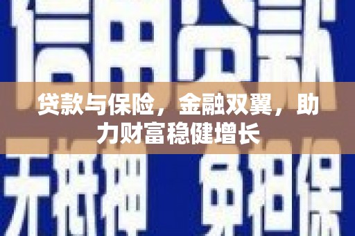 六甲贷款与保险，金融双翼，助力财富稳健增长