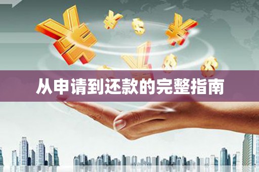 莎车从申请到还款的完整指南