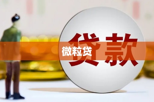 镇雄微粒贷