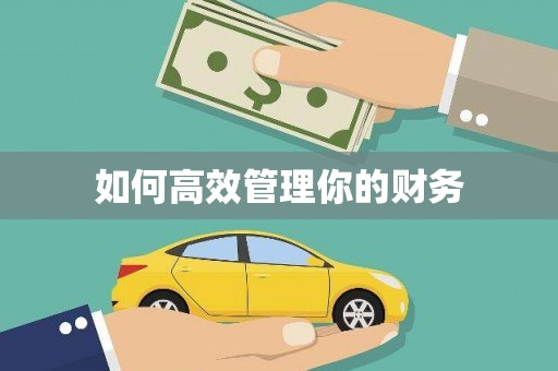 翔安如何高效管理你的财务