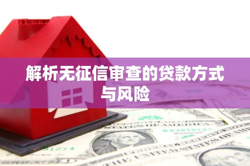 和田解析无征信审查的贷款方式与风险