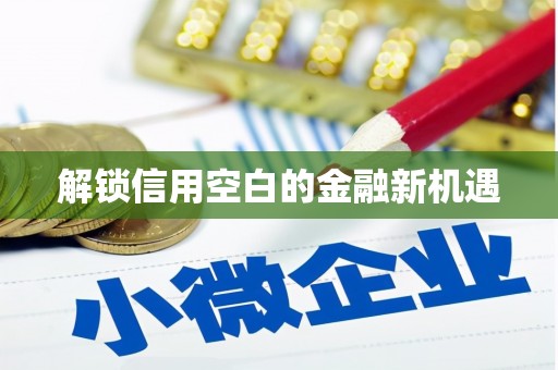 陆川解锁信用空白的金融新机遇