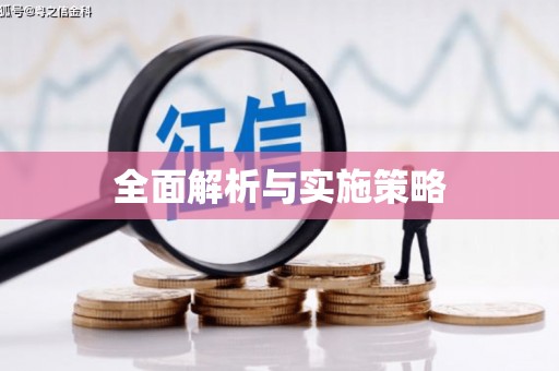 徐闻全面解析与实施策略