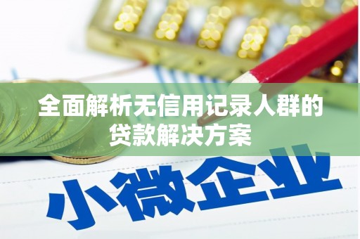 合浦全面解析无信用记录人群的贷款解决方案