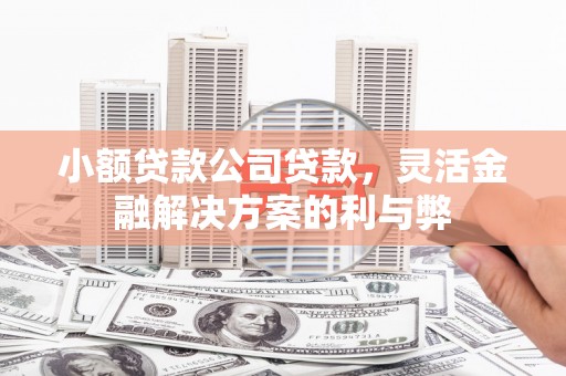 廉江小额贷款公司贷款，灵活金融解决方案的利与弊