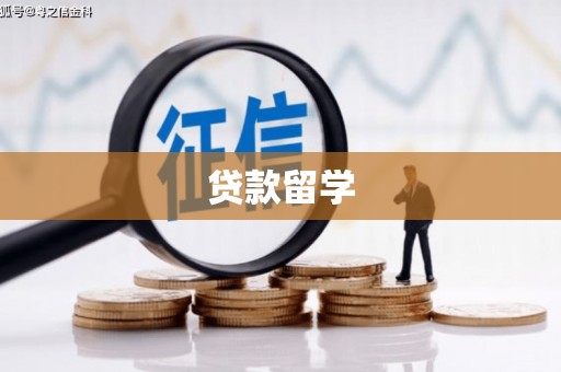 柳营贷款留学